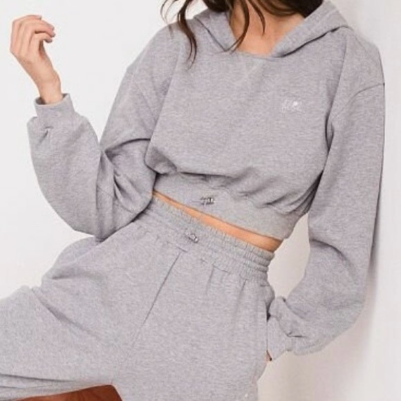 NWT For Love & Lemons Josie Cropped Hoodie Size XXS Grey Embroidered Sweatshirt - Picture 1 of 7